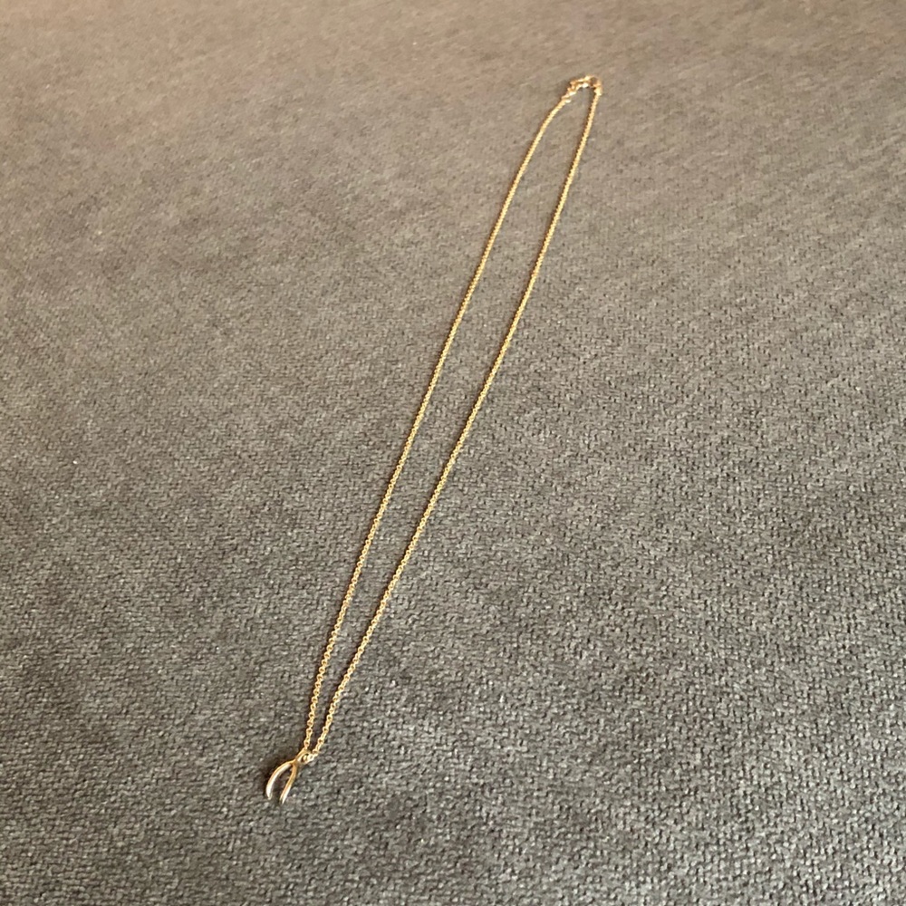 Dogeared gold dipped silver necklace wishbone
